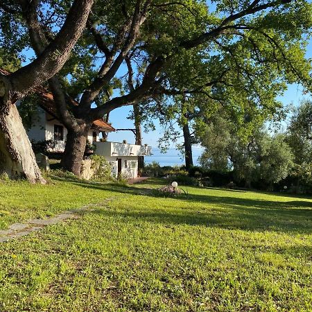Wild Oaks Cottage Kryopigí Eksteriør bilde