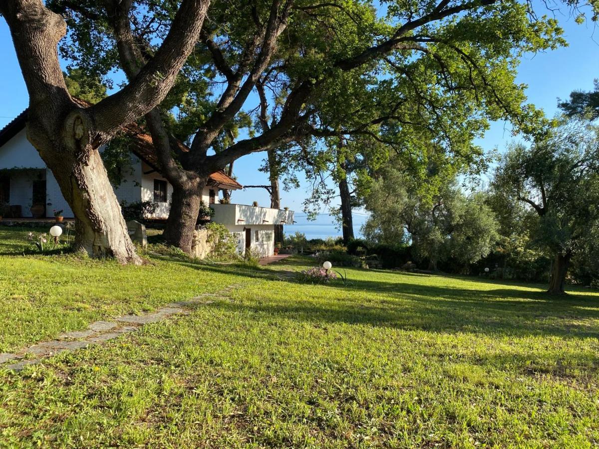 Wild Oaks Cottage Kryopigí Eksteriør bilde